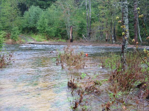 Undated Bow Pioneers Snowmobile Club photo of wetlands