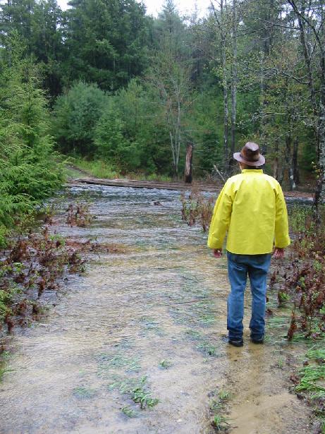 Undated Bow Pioneers Snowmobile Club photo of wetlands